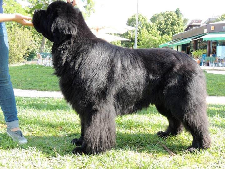 Фотография № 135436