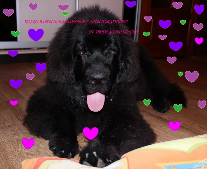 Фотография № 135459