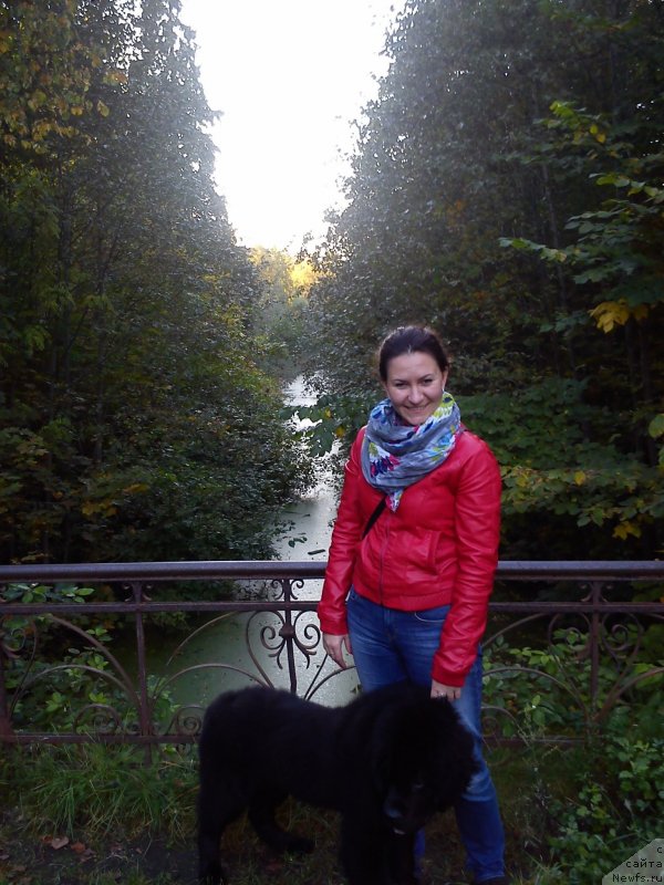 Фото: Natal'ya Medved' (Наталья Медведь)