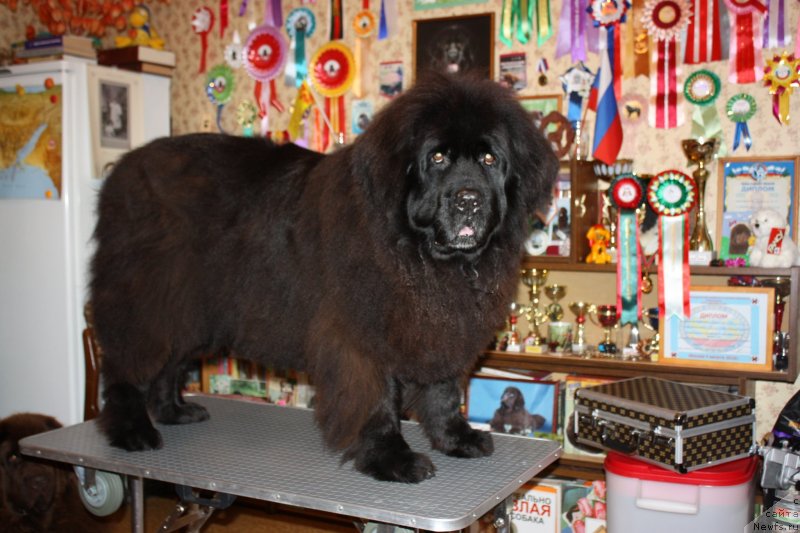 Фотография № 135511