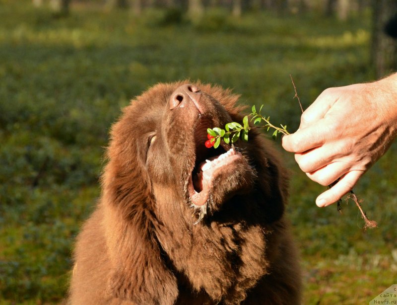 Фото: Санечка