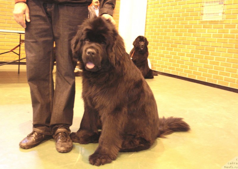 Фотография № 135530