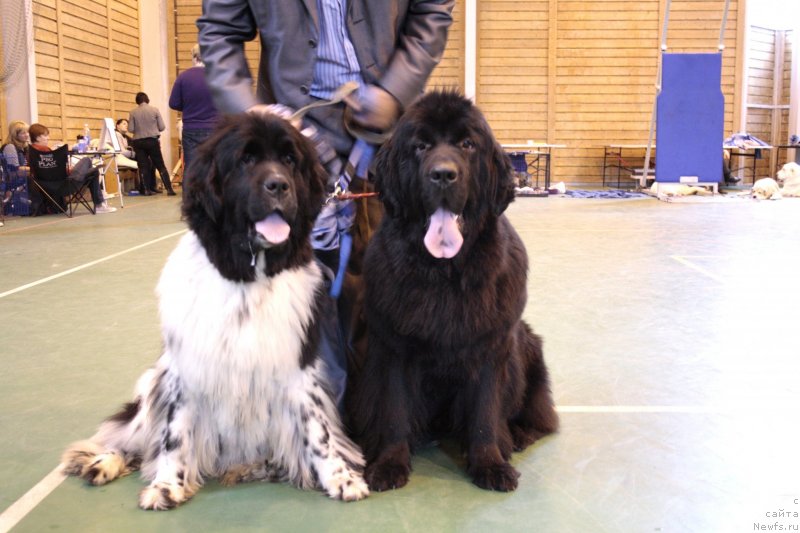 Фотография № 135531