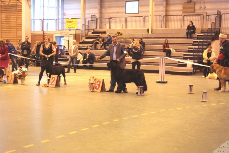 Фотография № 135535