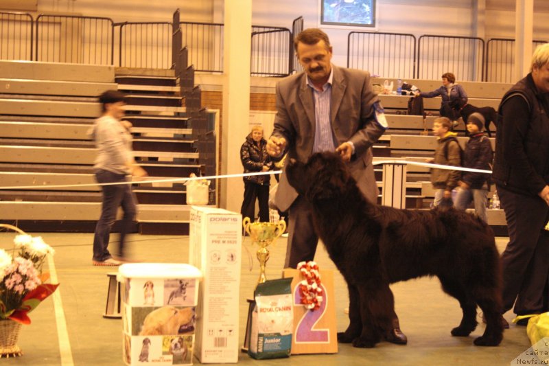 Фотография № 135536