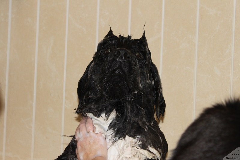 Фотография № 135541