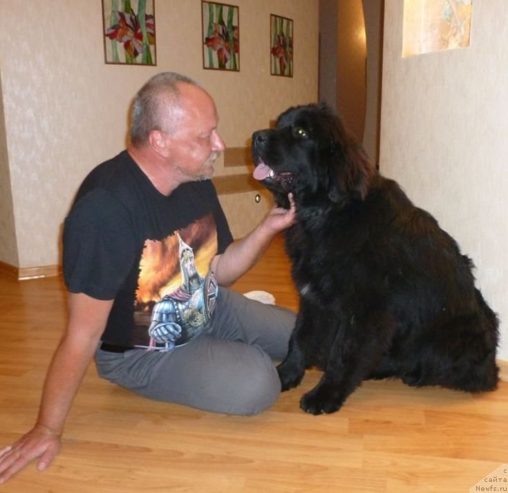 Фото: Aleksey Kuznecov (Алексей Кузнецов), Джесси(Потап Скалли)