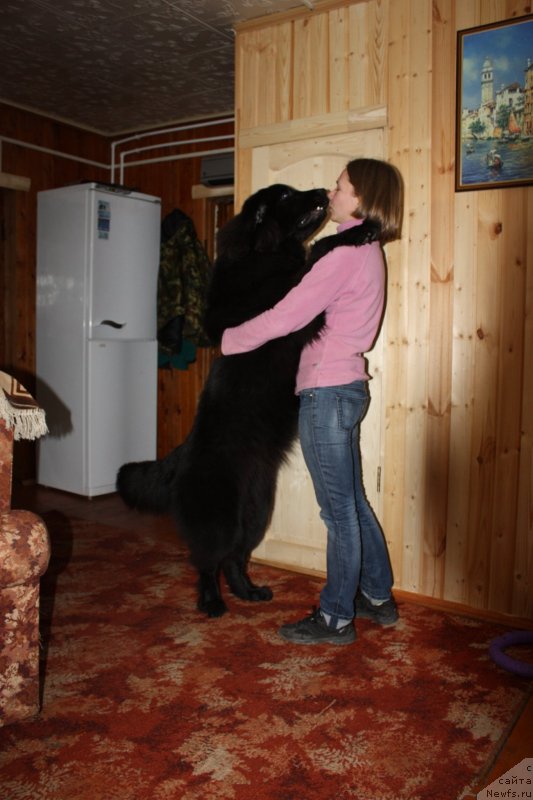 Фотография № 135547