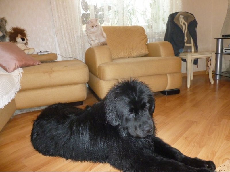 Фото: Джеся и Мася