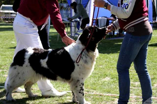 Фотография № 135592