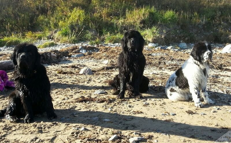 Фотография № 135597