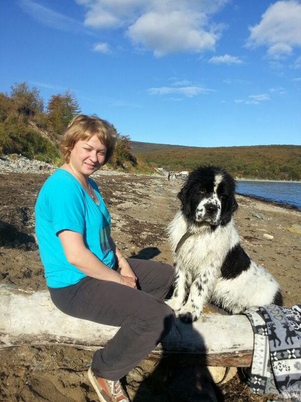 Фотография № 135598