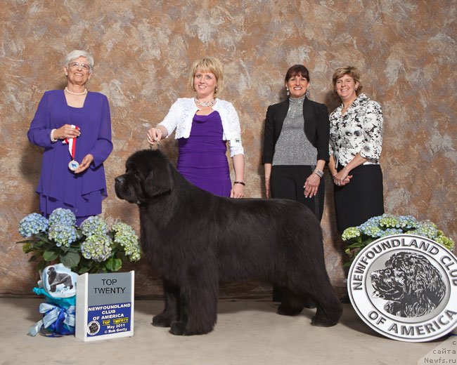 Фотография № 135602