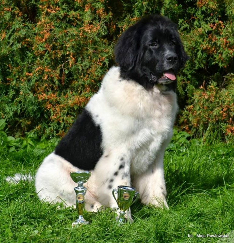 Фотография № 135629