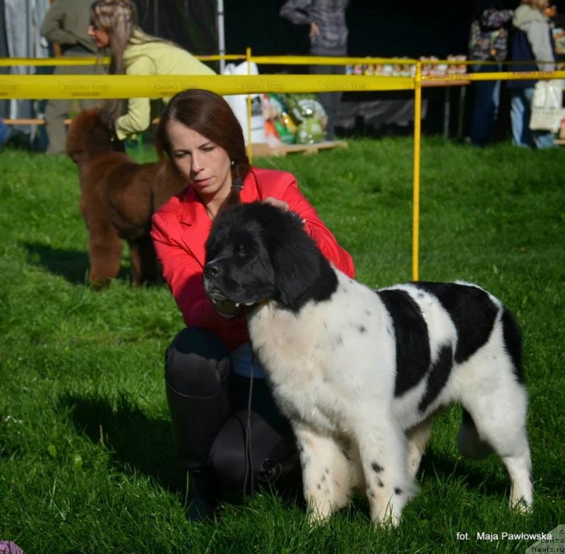 Фотография № 135630