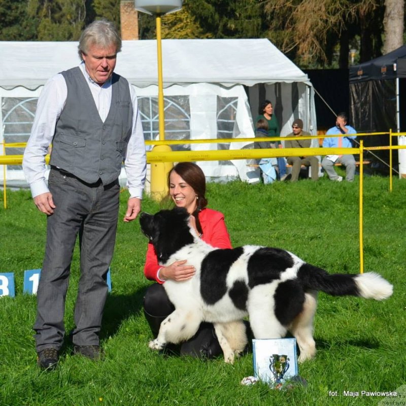 Фотография № 135631