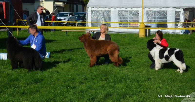 Фотография № 135632