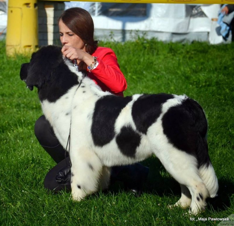 Фотография № 135633