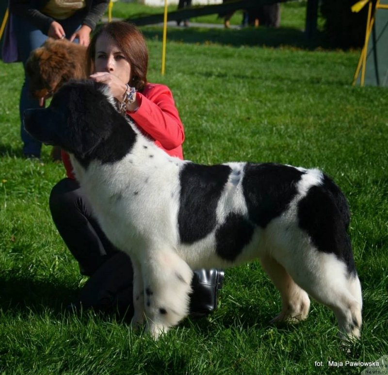 Фотография № 135635