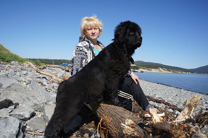 Фотография № 135739