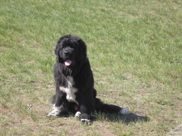 Фотография № 13574