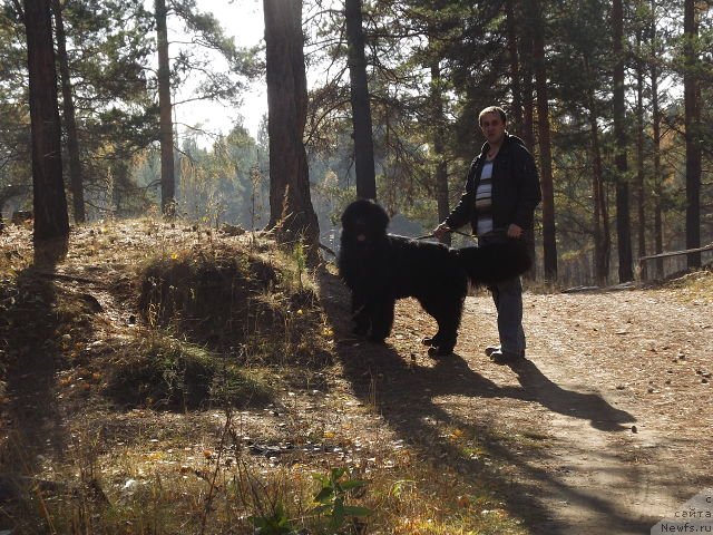 Фотография № 135751