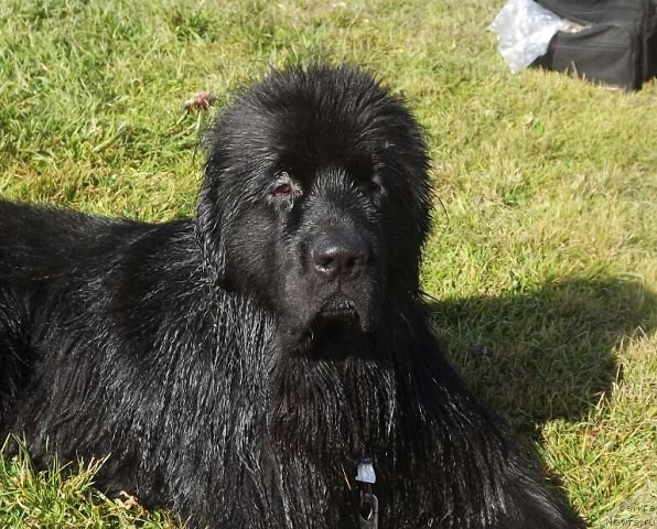 Фотография № 135753