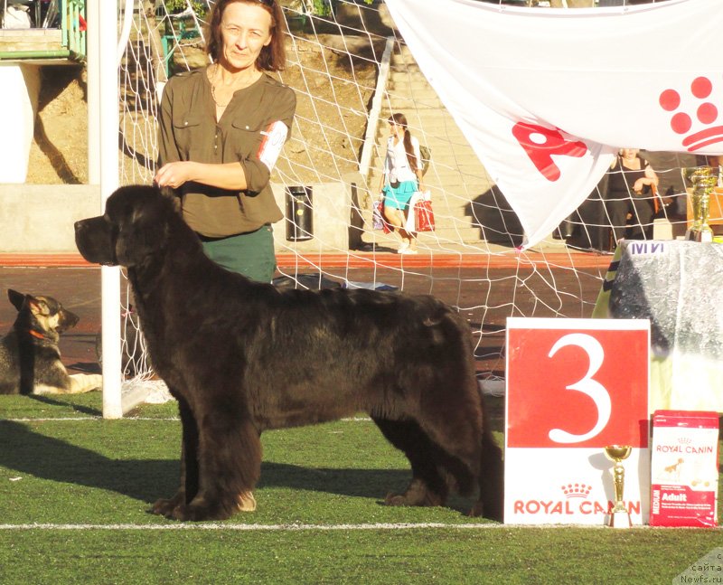 Фотография № 135765