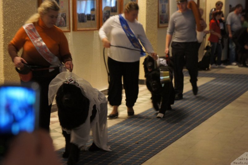 Фотография № 135766