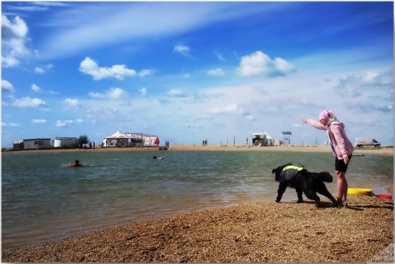 Фото: Ekaterina Zayceva (Екатерина Зайцева), ньюфаундленд Piternyuf Nota Bene (Питерньюф Нота Бене)