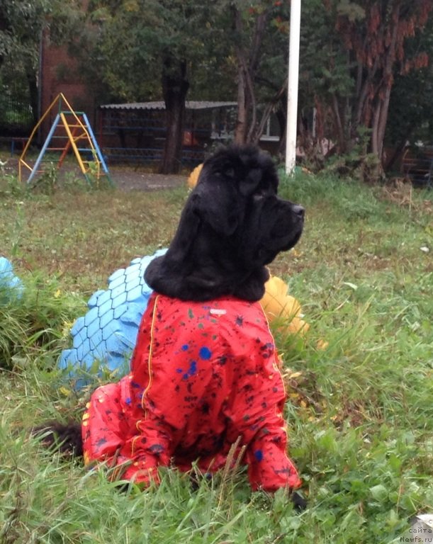 Фотография № 135777