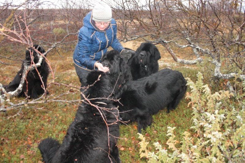 Фотография № 135862