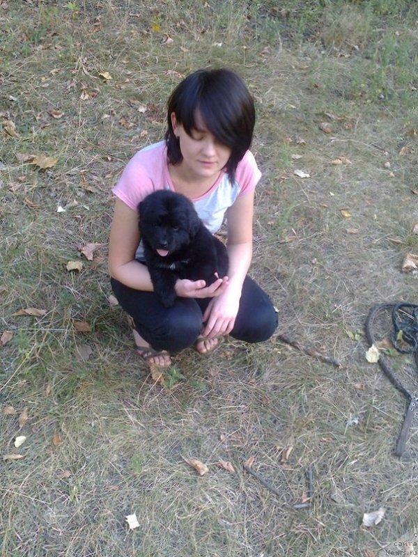 Фото: [Вайс]