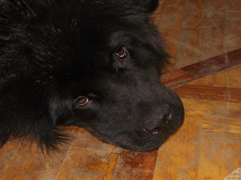 Фотография № 135871