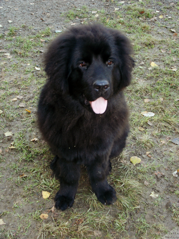 Фотография № 135872