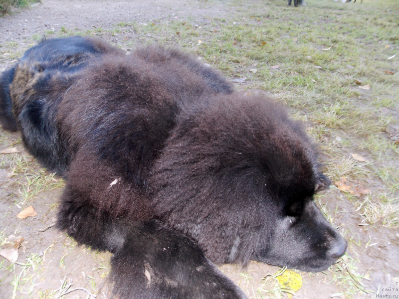 Фотография № 135873