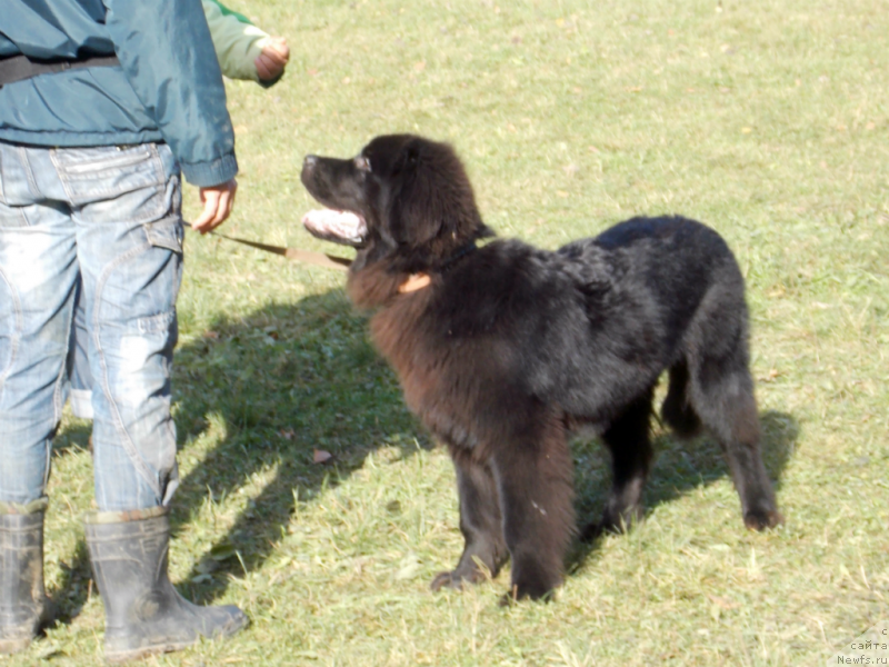 Фотография № 135874