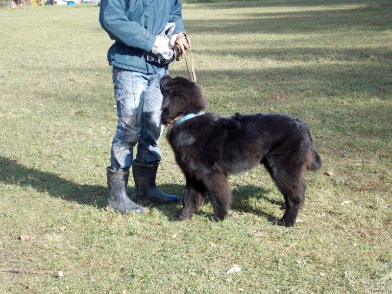 Фотография № 135875