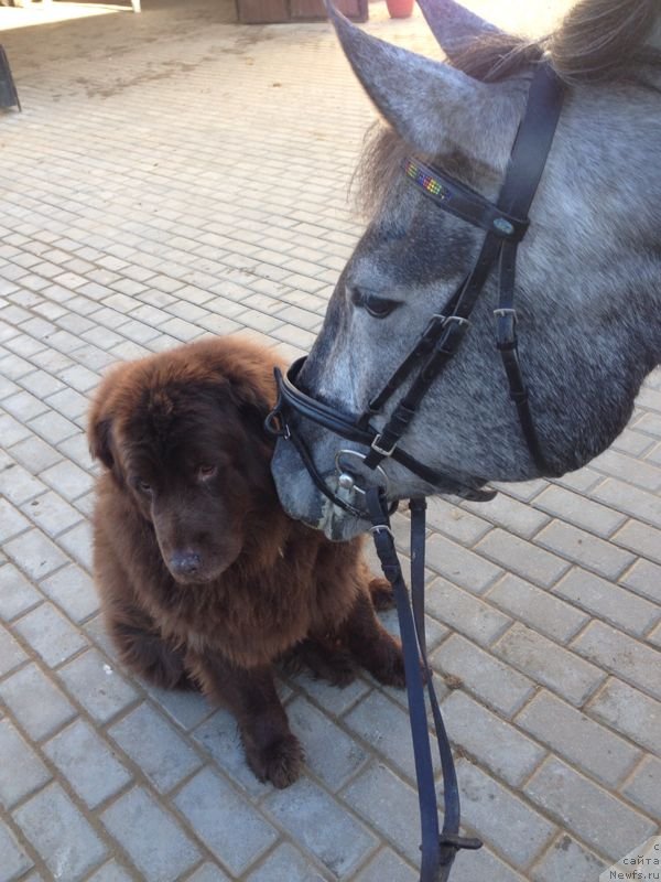 Фотография № 135876