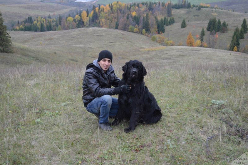 Фотография № 135916