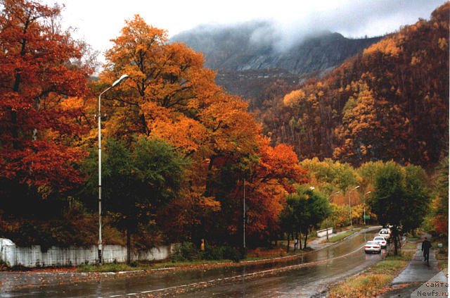Фото: осень в Приморье