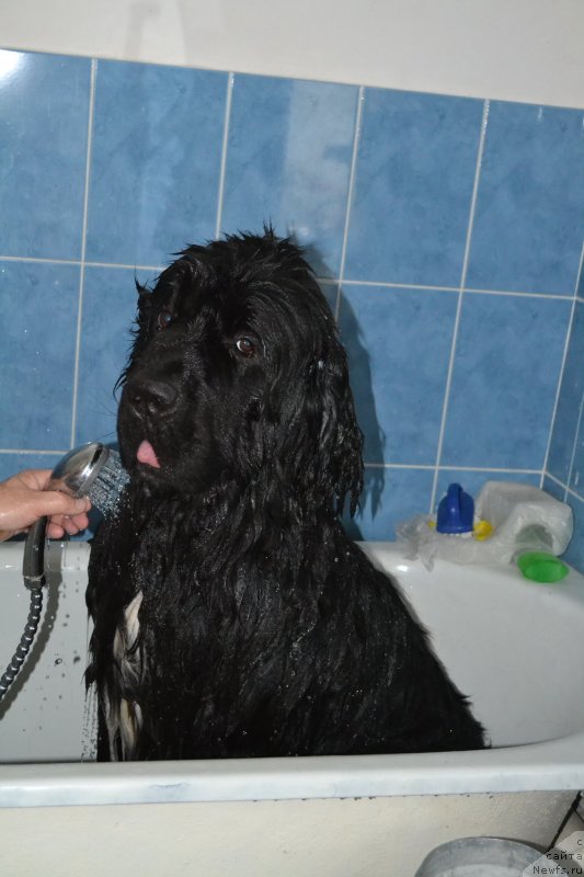 Фотография № 135947