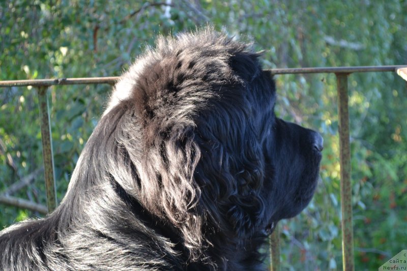 Фотография № 135949