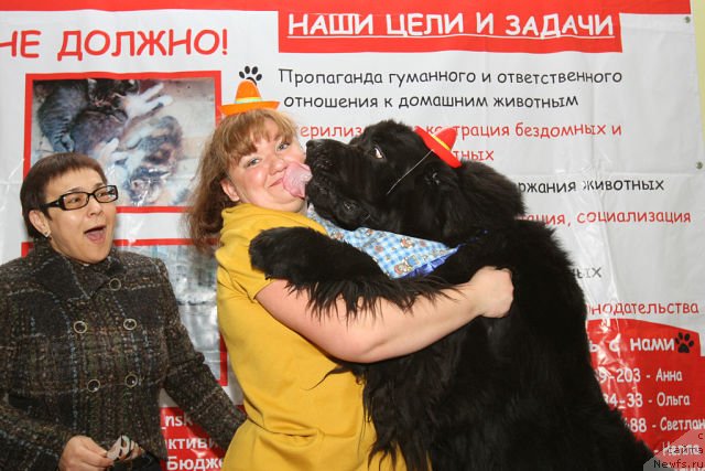 Фото: [d11664] и, Lyudmila Ovsyannikova (Людмила Овсянникова)