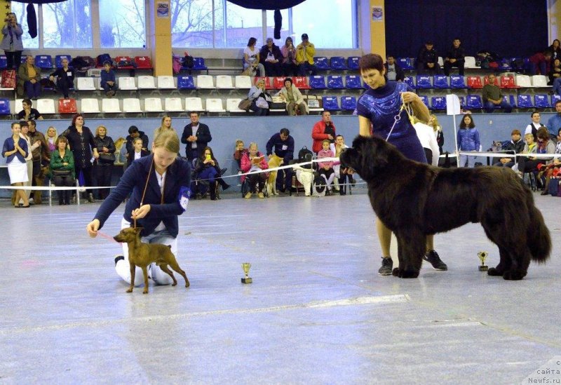 Фотография № 135987