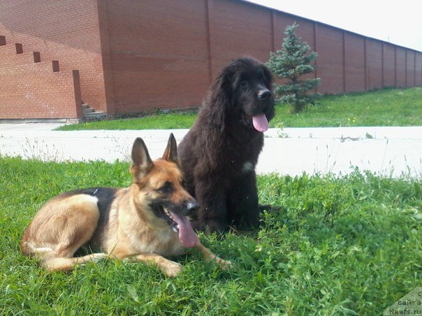 Фотография № 135992