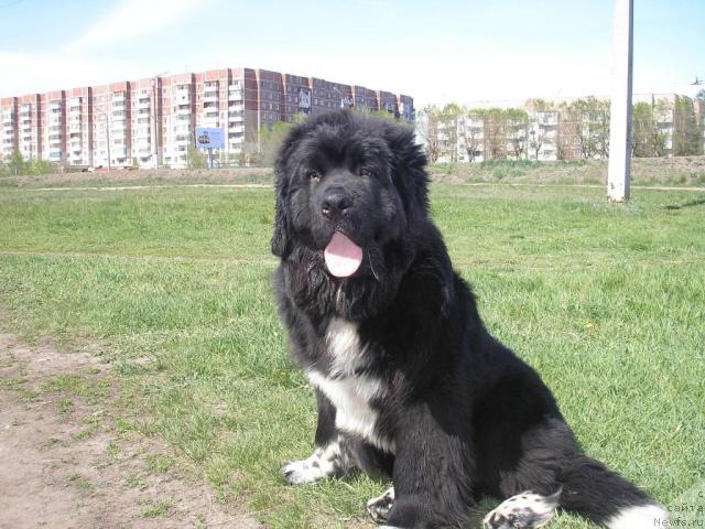 Фотография № 13600