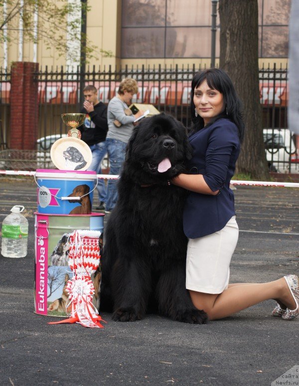 Фото: Избранник Удачи из Царства Медведей