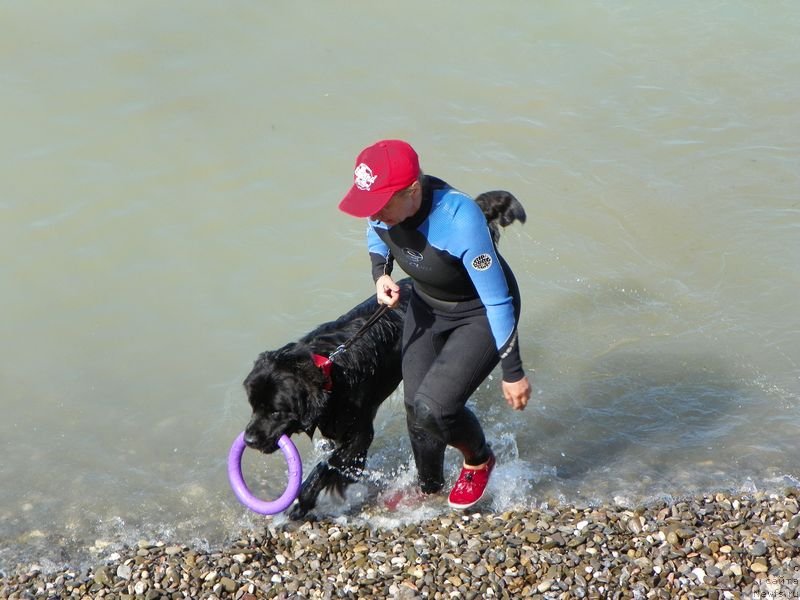 Фотография № 136146