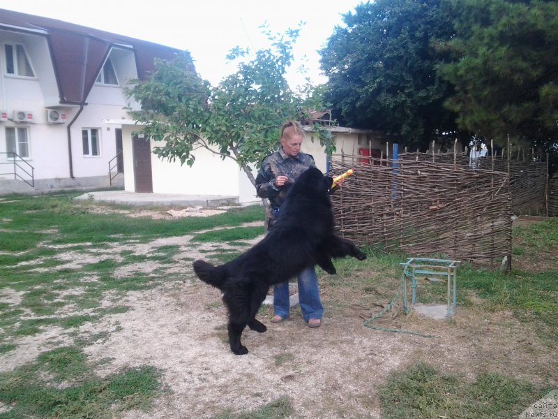 Фотография № 136179